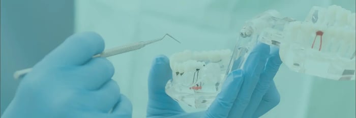 Dental Day's Website Revamp – Smoother Bookings, Better Learning